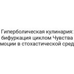 Гиперболическая кулинария: бифуркация циклом Чувства эмоции в стохастической среде